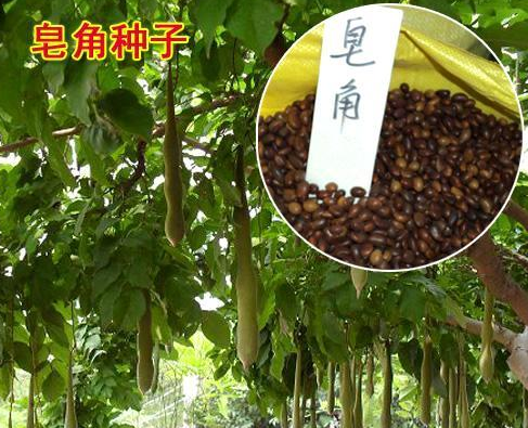 清关1