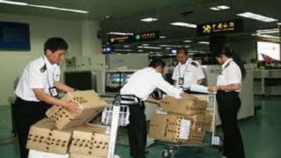 Beijing customs clearance companies