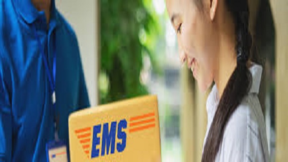 ems customs clearance services