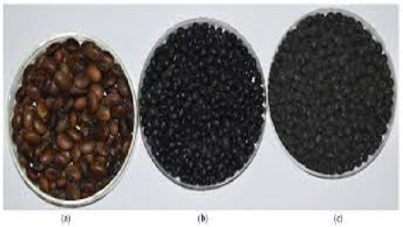Seeds Export Transportation