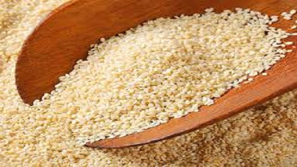 Seed Export Transportation