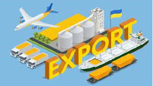 Seed Export Transportation